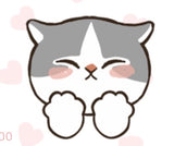 8/14　稗田栞様　猫ちゃん