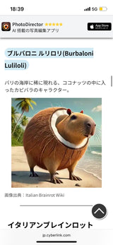 10/14　押方麻衣様　色々セット