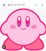 11/20　 青山　昌代様　星のカービー