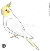 1/8　今井美紀様　いろいろセット