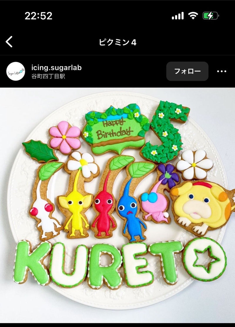 1/15　遠藤　まりえ様　ピクミン
