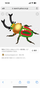 11/20　松延未紗記様　昆虫