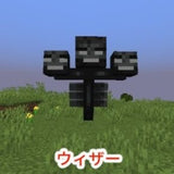 5/27☆　本井　すみれ様　マイクラ