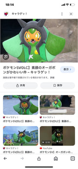 12/18　関　沙織様　ポケモン