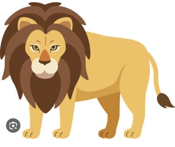 1/8　今井美紀様　いろいろセット