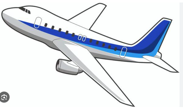 1/29　本杉百華様　飛行機