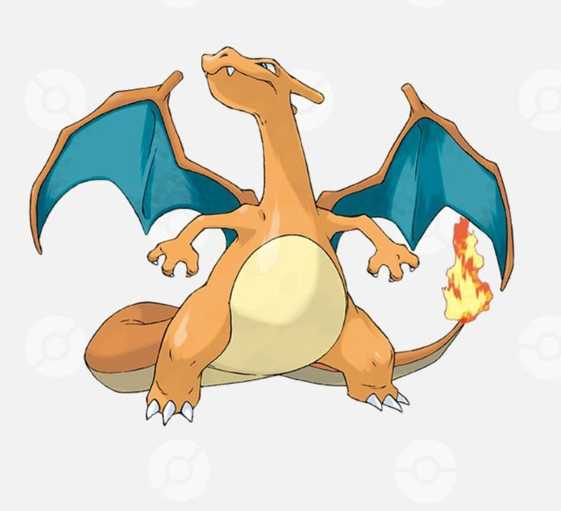 1/8　丸小彩加様　ポケモン