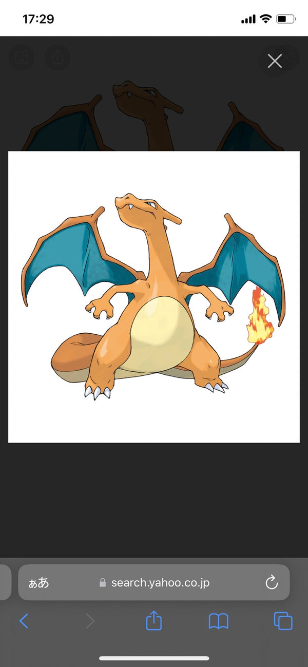 1/8　永井怜良様　ポケモン　