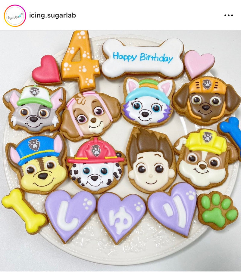 1/29　谷口瑞季様　パウパトロール