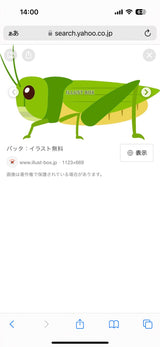 11/20　松延未紗記様　昆虫