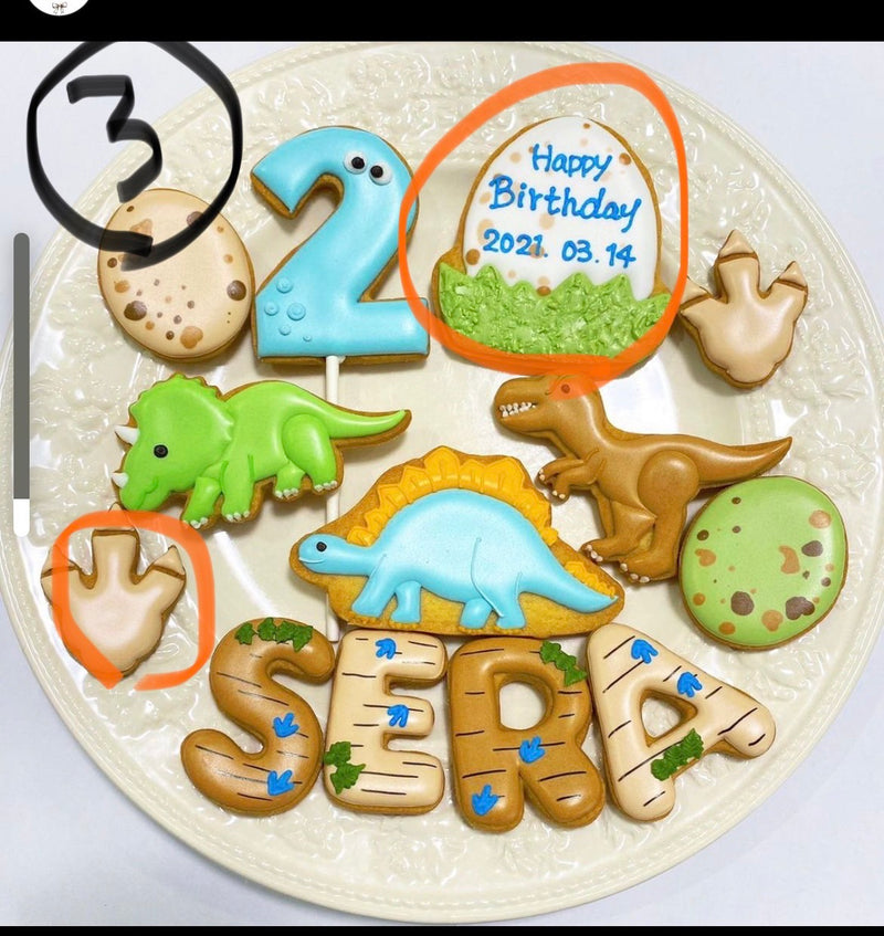 10/16　星野奈津様　恐竜