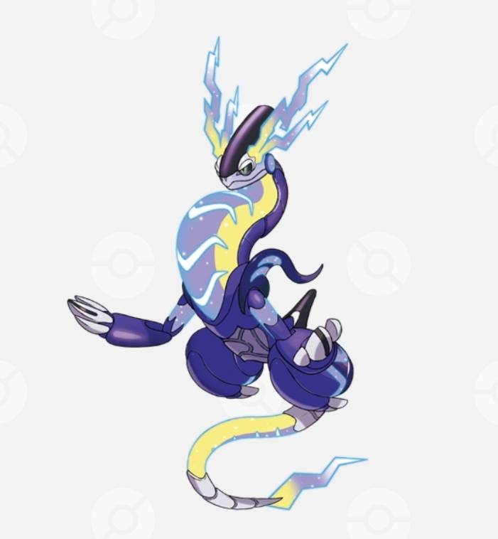 1/8　丸小彩加様　ポケモン