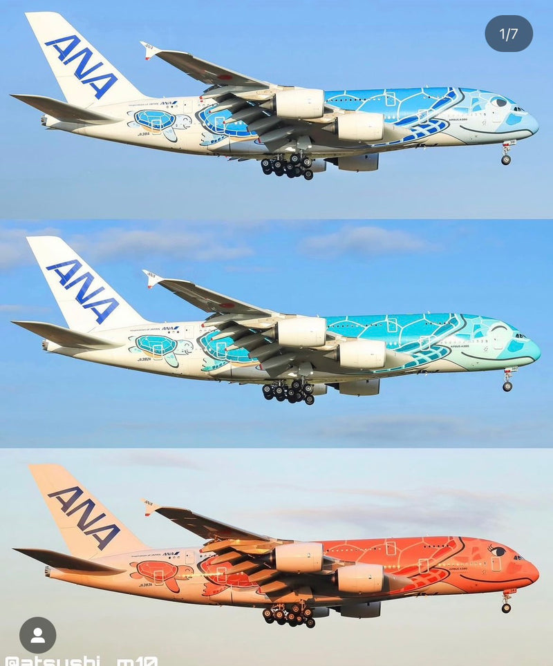 1/29　本杉百華様　飛行機