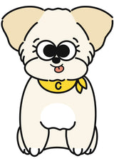 1/29　伊藤　美春様　愛犬