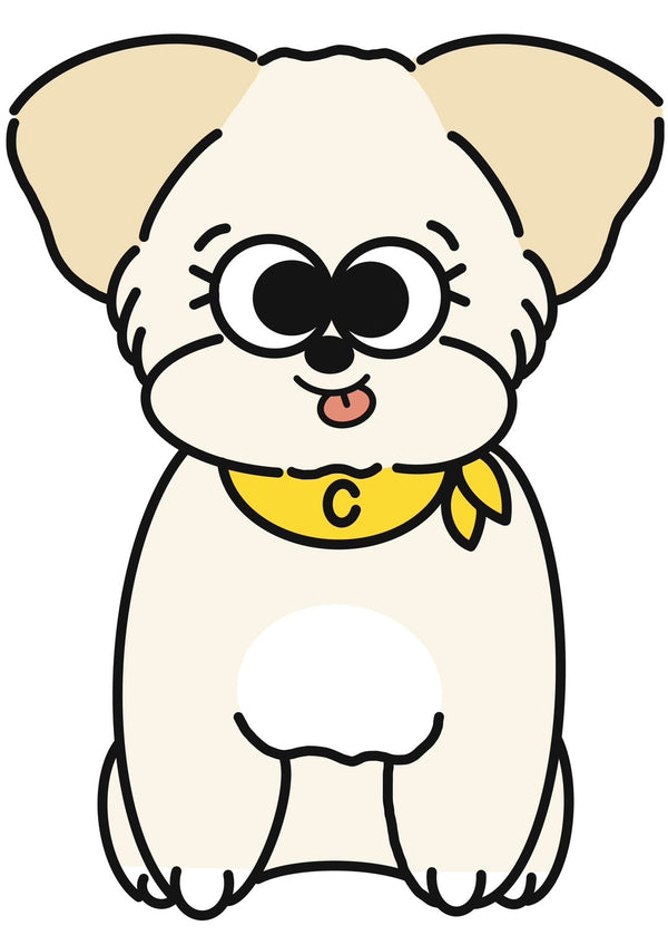 1/29　伊藤　美春様　愛犬