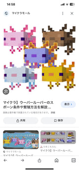 12/11　大森彩也様　マインクラフト
