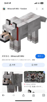 9/2☆　川崎友紀様　マイクラ