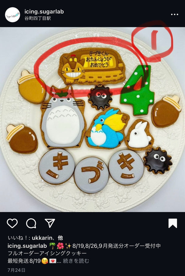 10/15☆　及川ひなの様　トトロ