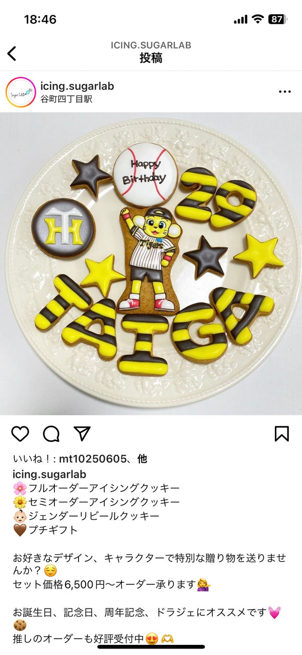 9/30☆　大西ひろみ様　タイガース