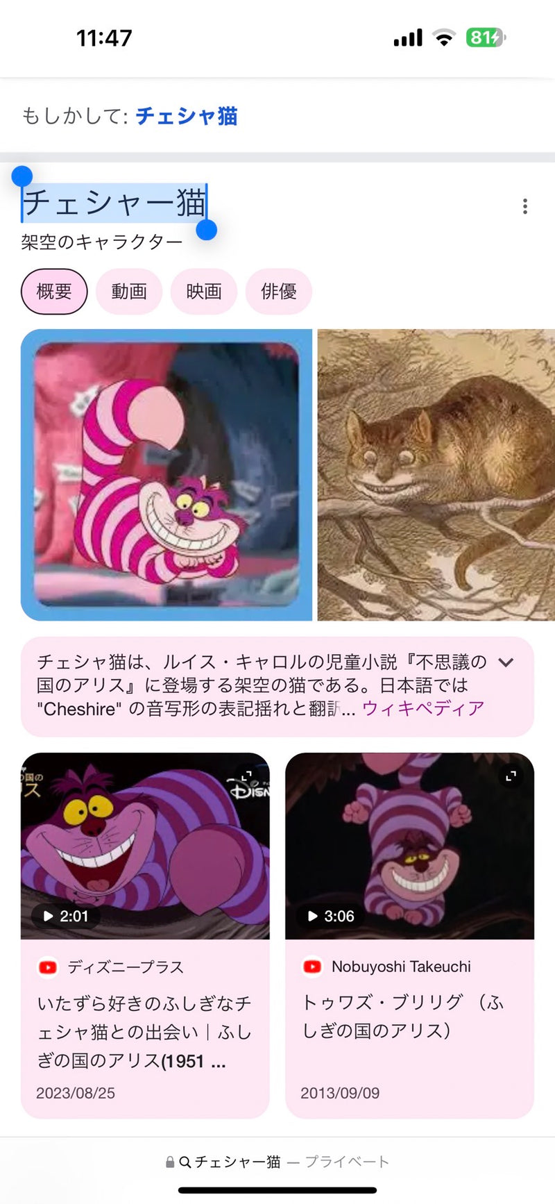 10/15☆　那須葵惺様　ディズニー