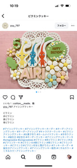 12/23☆　宮坂あいり様　ピクミン