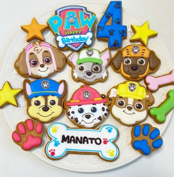 1/20☆　新居智理様　パウパト
