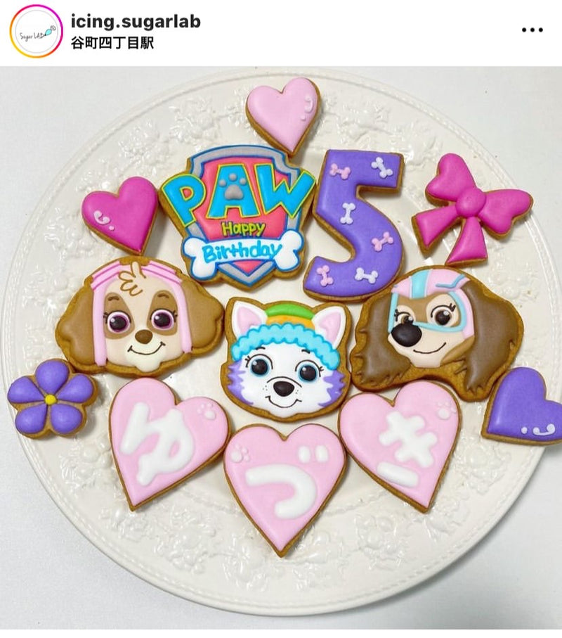 1/6☆　西川愛里様　パウパト