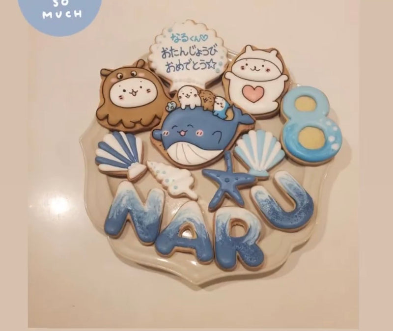 1/6☆　丸山 紗矢香様　ベイビーシャーク