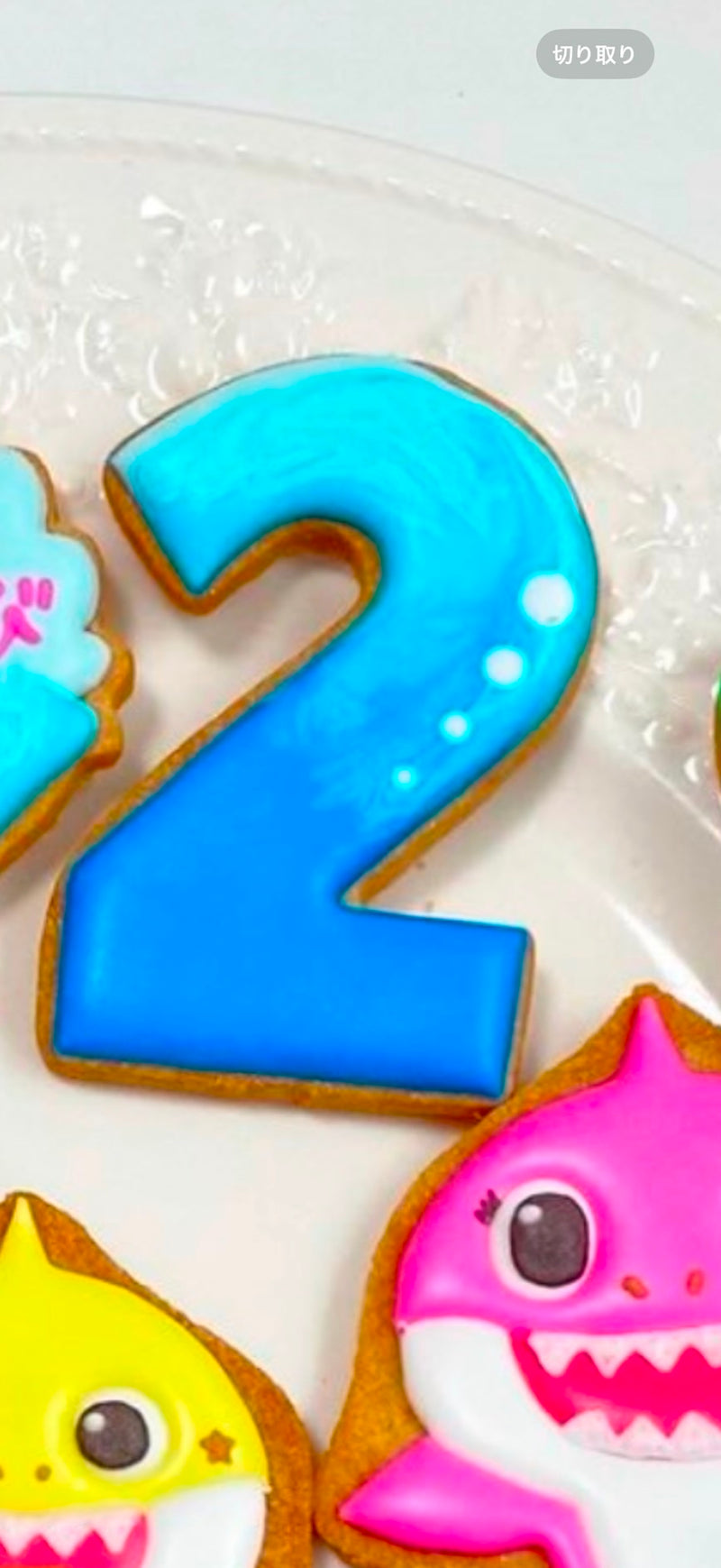 1/6☆　丸山 紗矢香様　ベイビーシャーク