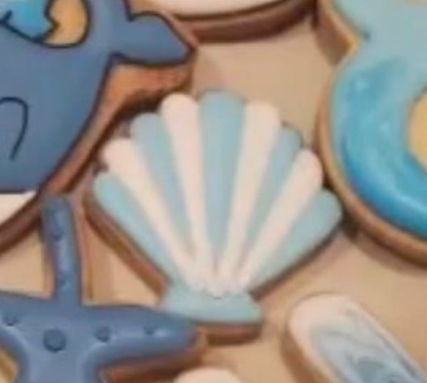 1/6☆　丸山 紗矢香様　ベイビーシャーク