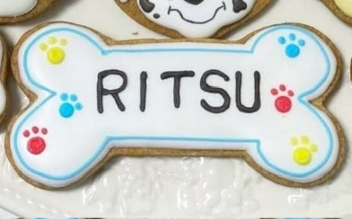 1/6☆　塩瀨紀杏様　パウパト