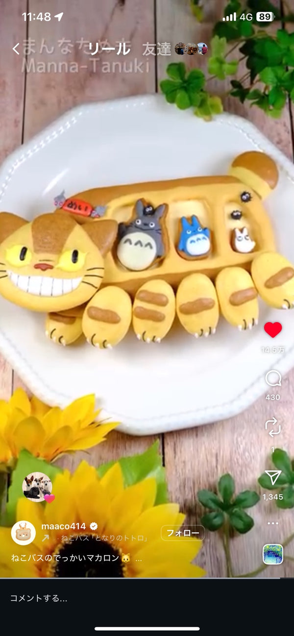 10/14　佐々木 泰奈様　トトロ