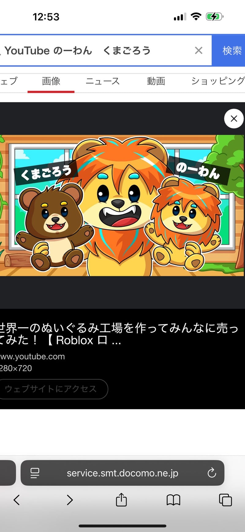 10/14　飯野明美様　色々セット