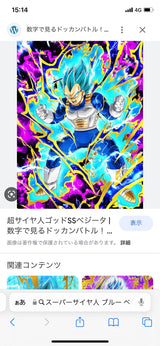 3/20 田中夏樹様　ドラゴンボール