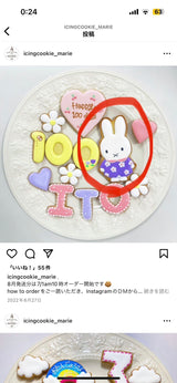 4/17　神里　伶奈様　BT21とミッフィー