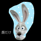 2/6 星山紗理菜様　マーシャとくま