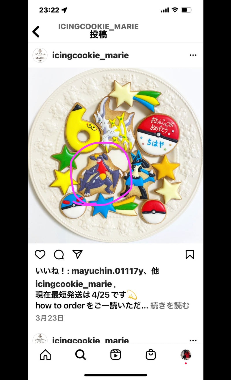 10/10 ポケモン　平野　愛香様