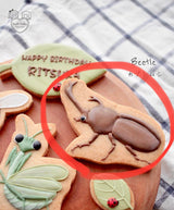 10/10 昆虫　森岡　海様