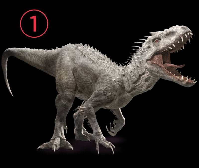 1/9 丸小彩加様　恐竜