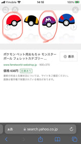 1/23 小曽根　美帆様　ポケモン