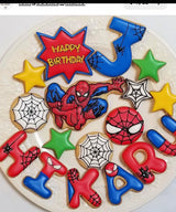 1/30 清藤　雅絵様　スパイダーマン