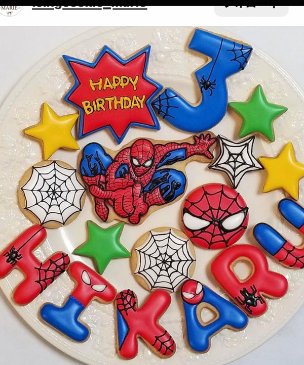 1/30 清藤　雅絵様　スパイダーマン