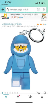 4/3　大迫星様　LEGO