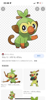 12/12 遠坂 水紀様　ポケモン
