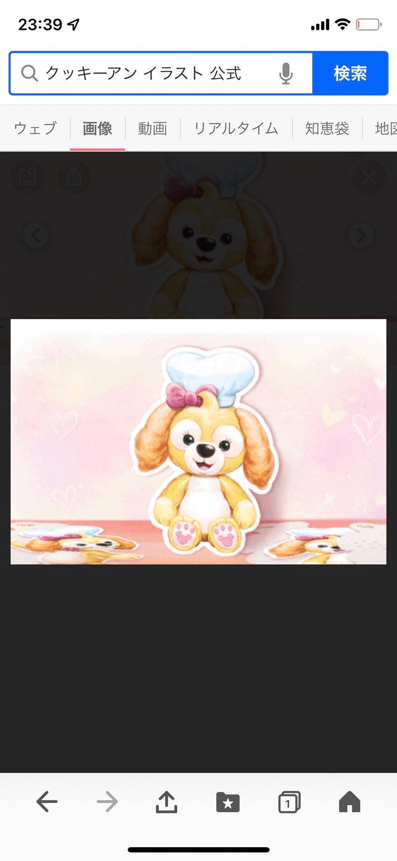 1/23 金井　睦美様　ダッフィフレンズ