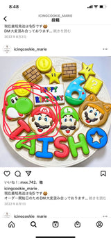 1/30 辻由賀様（２件有り）　マリオ