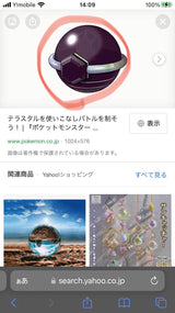 1/23 小曽根　美帆様　ポケモン