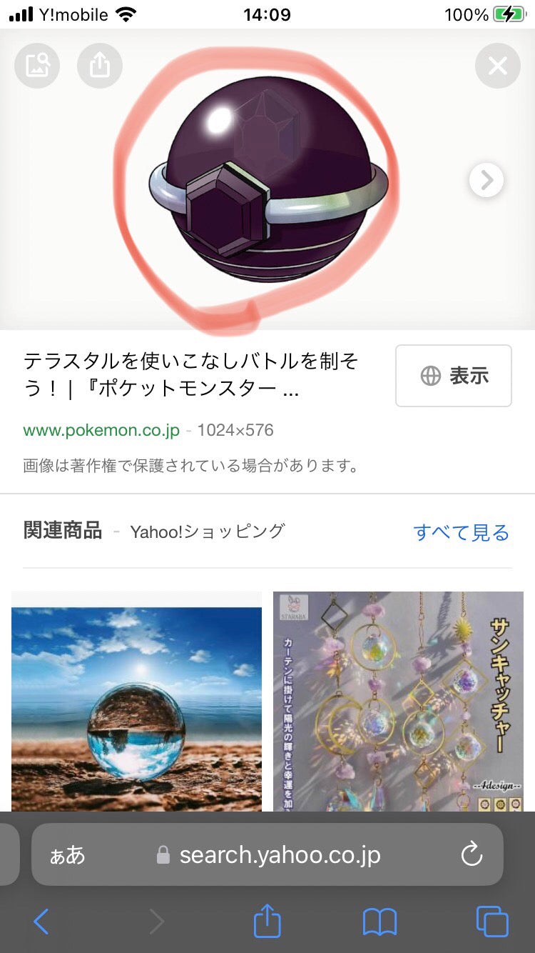 1/23 小曽根　美帆様　ポケモン