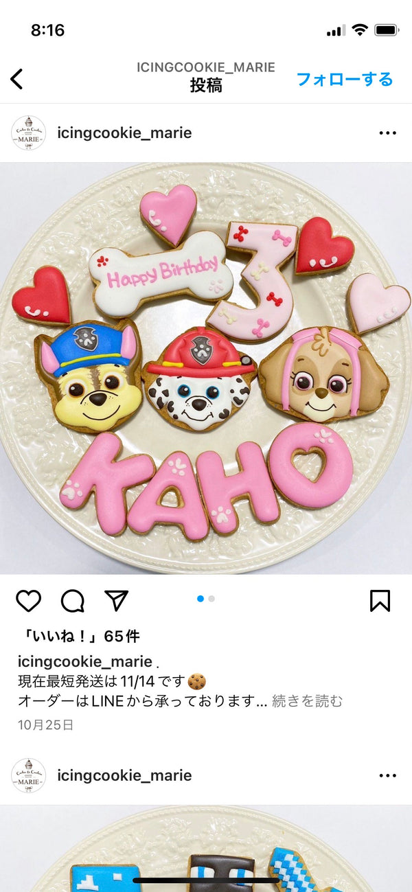 1/9 武澤千果様　パウパトロール