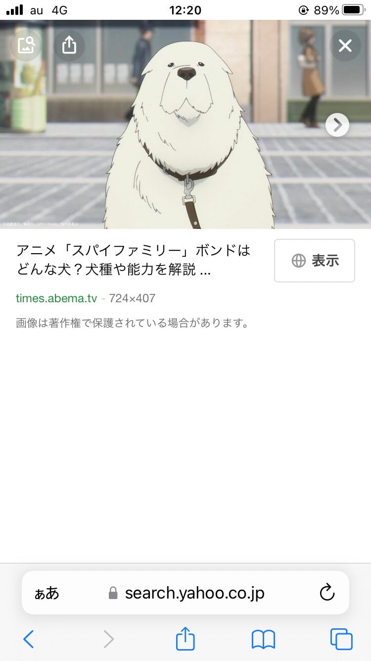 1/9 中嶋さよ子様　スパイファミリー